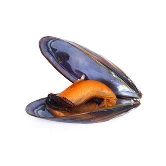 Fresh Mussel (500g)