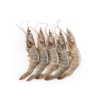 Shrimp - Jumbo (5 lb)